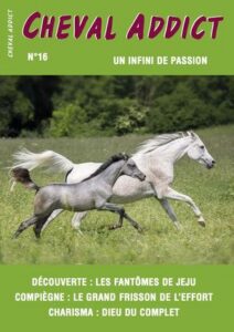 magazine cheval addict