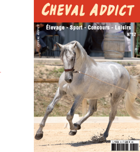 Illustration de Cheval Addict 12