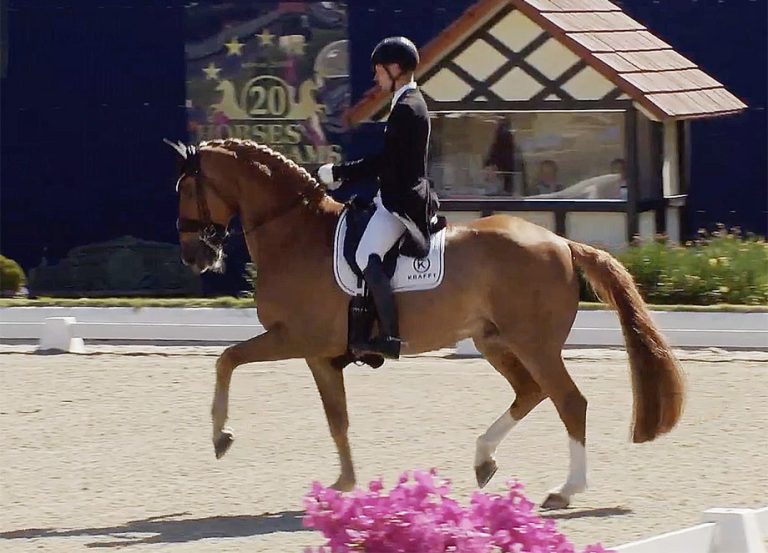 Daniel Bachmann Andersen montant le hongre alezan Flash Gordon 37 lors de la reprise de dressage au concours Horses and Dreams de Hagen.