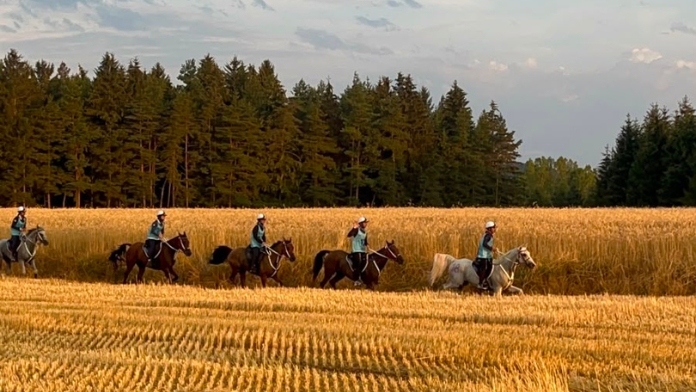 Les cavaliers de l'équipe de France Jeunes d'endurance galopant en file indienne le long d'un champ de blé doré aux championnats d'Europe à Jullianges.