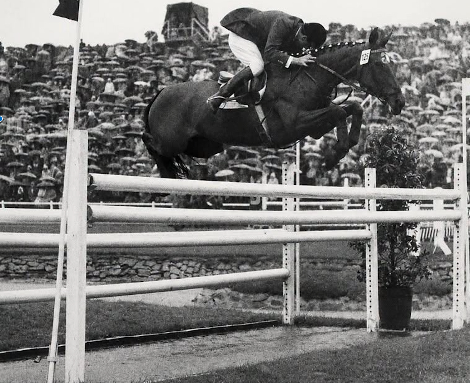 Hans Günter Winkler et Halla