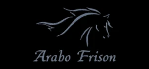 Arabo-Frison